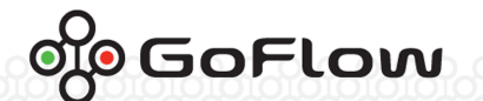 GoFlow – Solution Architect
